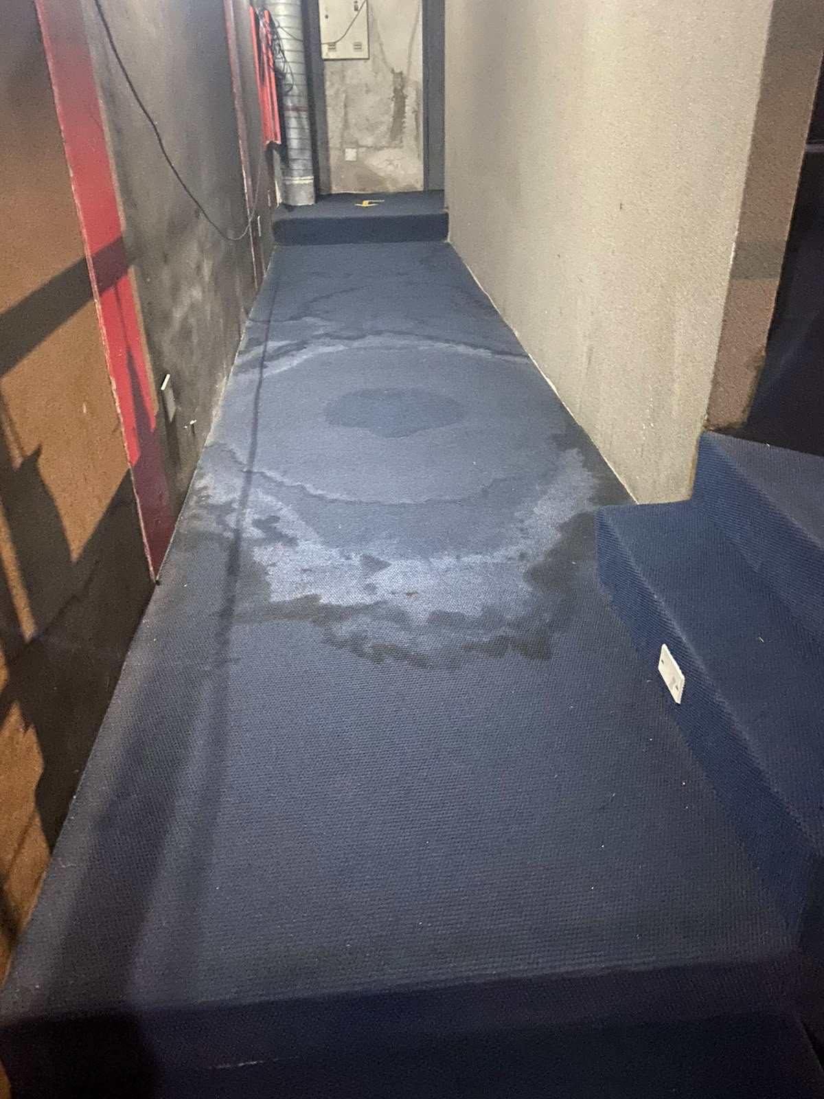 Carpete antes da higienização Marte